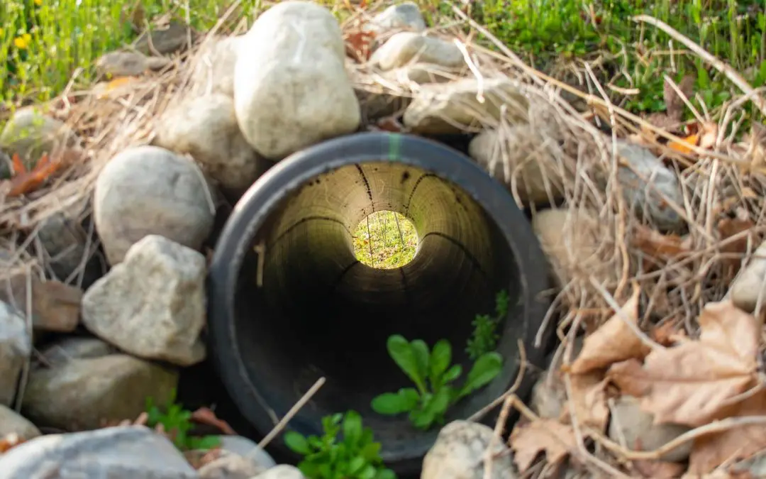 improve drainage on your property