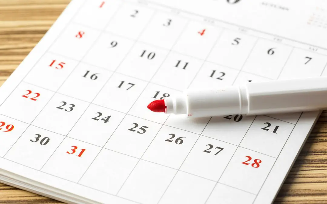 Home Maintenance Calendar