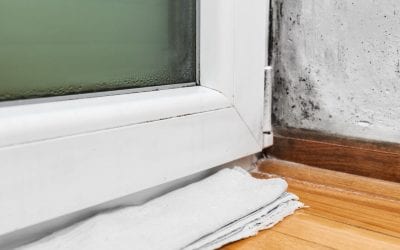 5 Ways to Prevent Mold Growth in Your Home