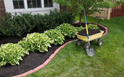 9 Ways to Improve Curb Appeal
