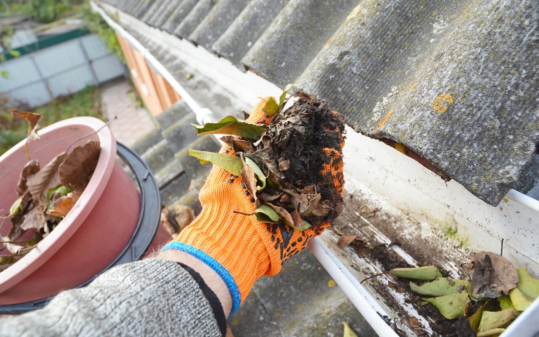 How to Clean Your Gutters in 5 Steps